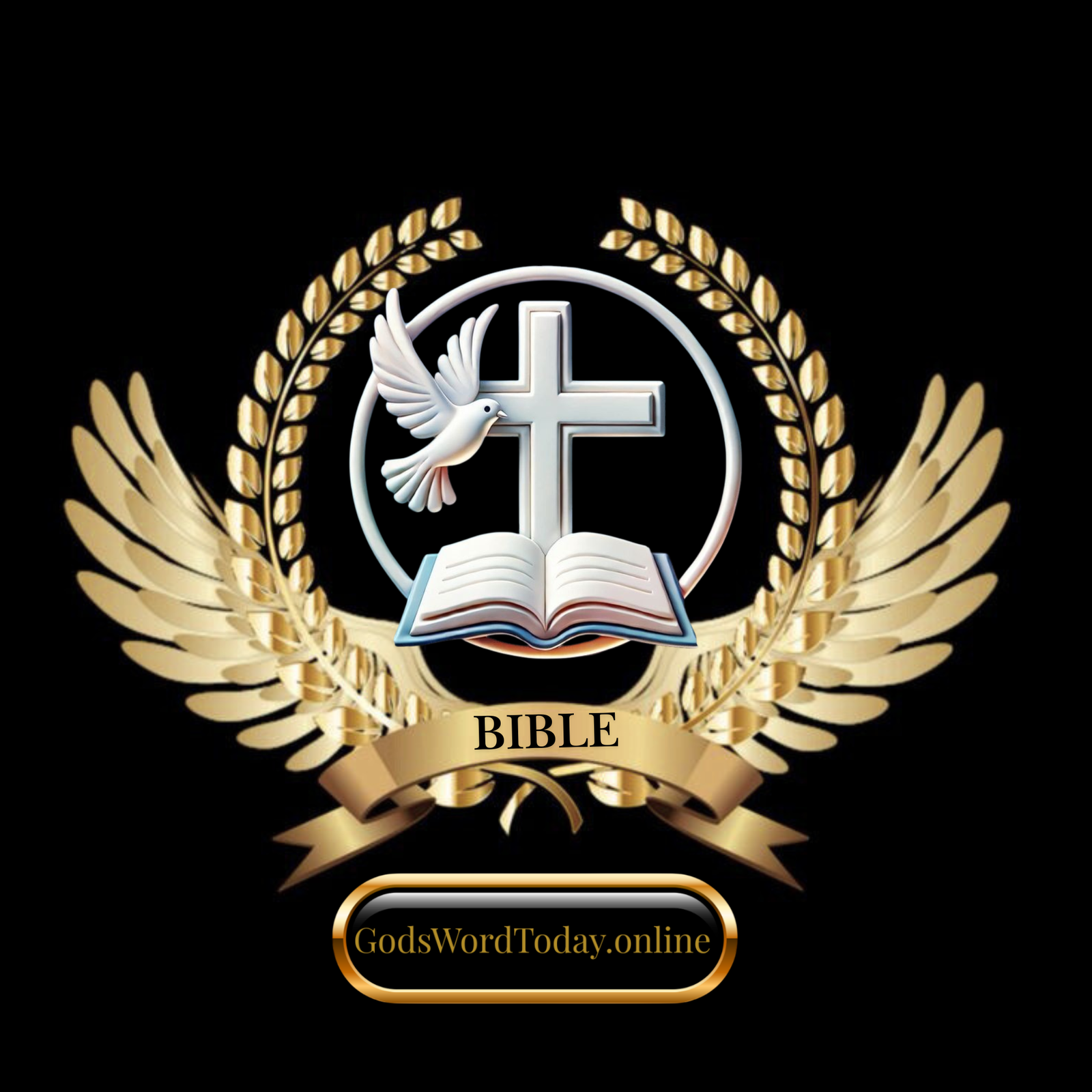 God's Word Today Bible